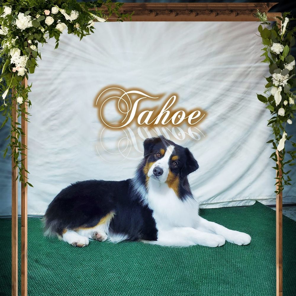 Meet your Posher, Lynda